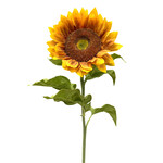 CSS027-GO: 42" SUNFLOWER STEM GOLD