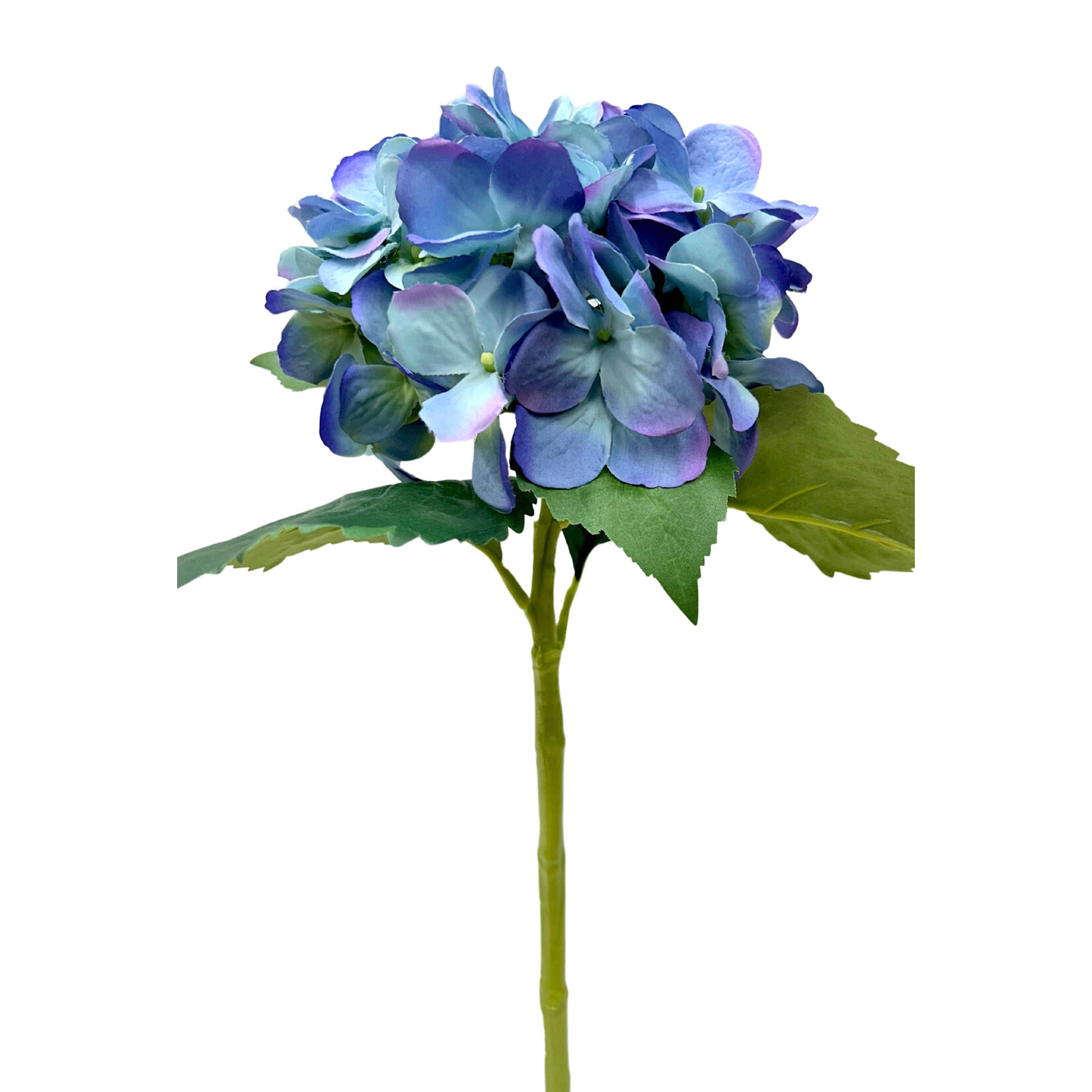 19” HYDRANGEA SPRAY HELIO TWO TONE