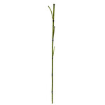 CGE356-GN: 41.5" HORSETAIL STICK GREEN