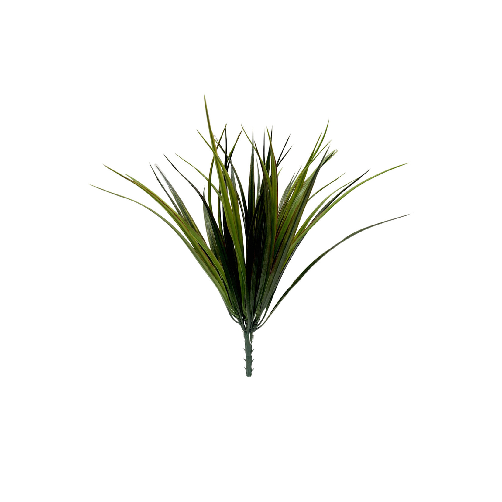 12" VANILLA GRASS BUSH GREEN RED