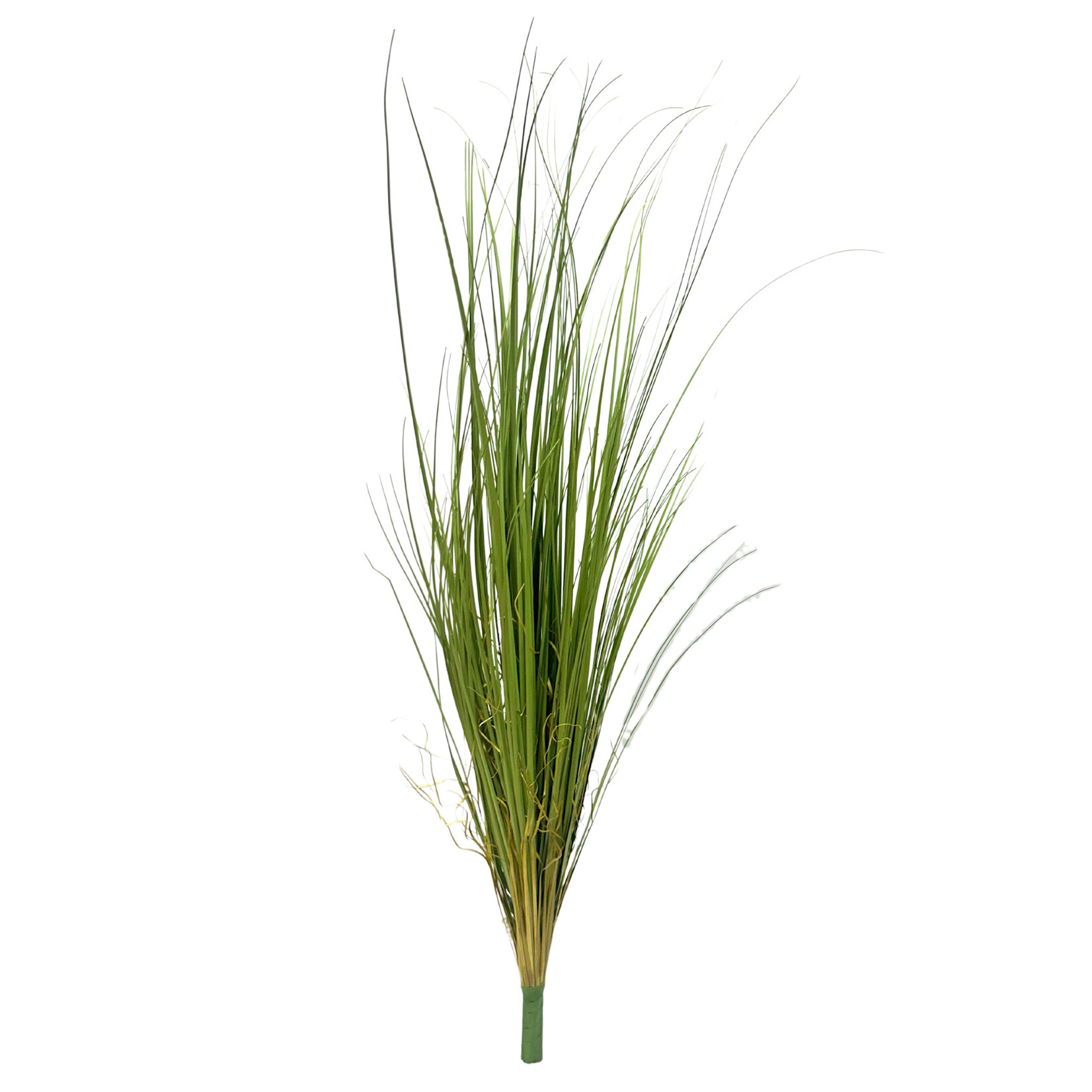 40" ONION GRASS BUSH GREEN