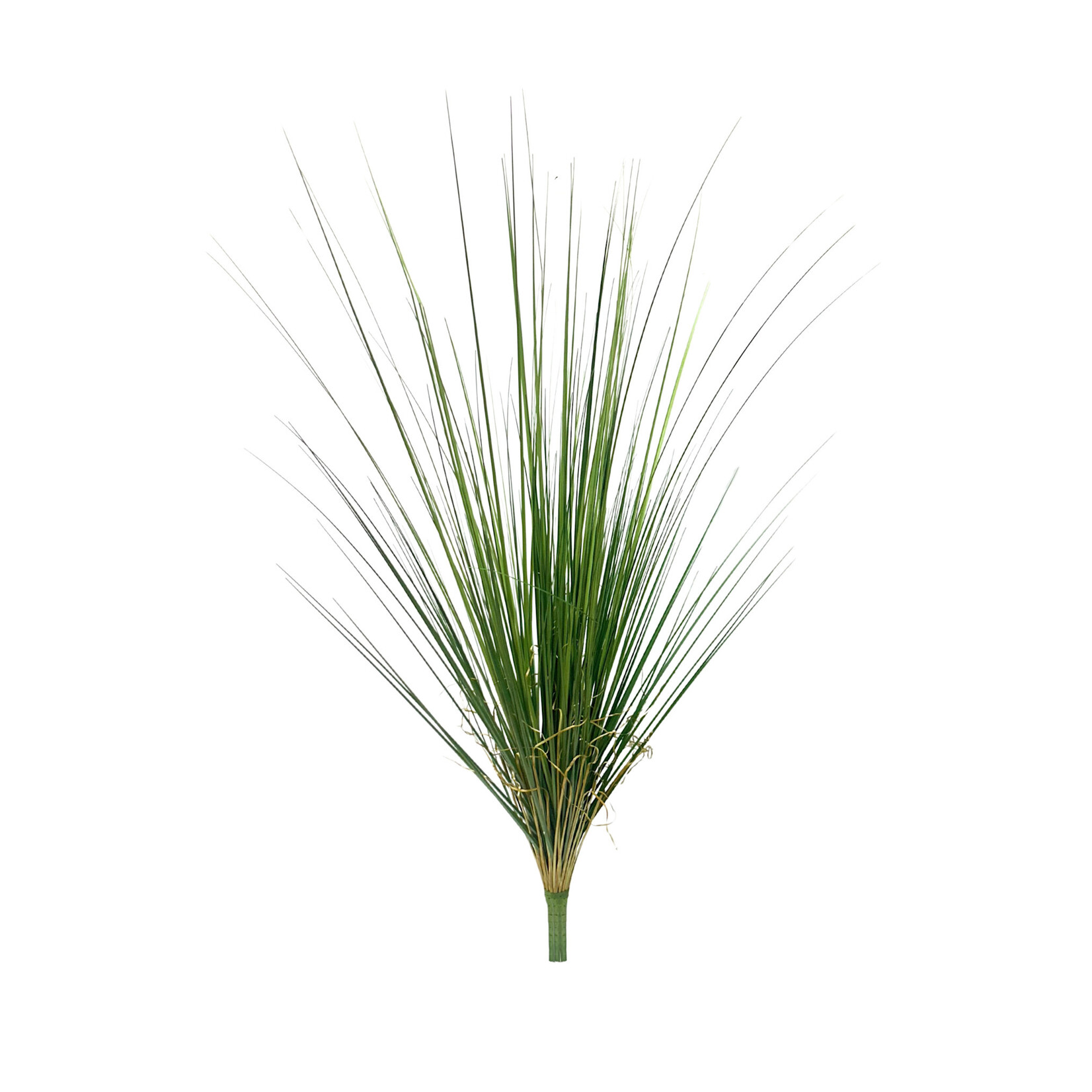40" ONION GRASS BUSH GREEN TWO TONE