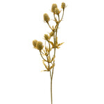 CSE600-BE: 20" ERYNGIUM SPRAY BEIGE