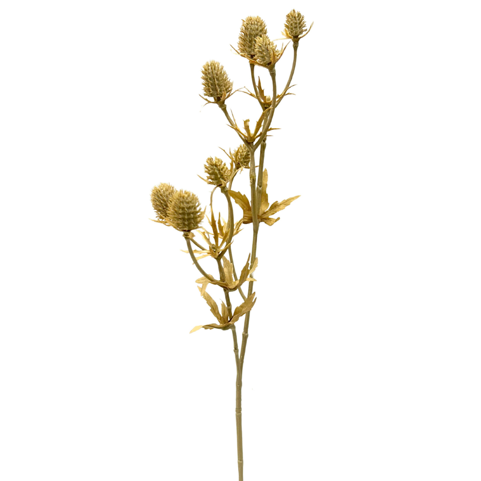 20" ERYNGIUM SPRAY BEIGE