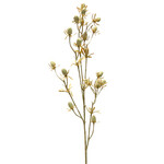 CSE700-BE: 24" ERYNGIUM SPRAY BEIGE