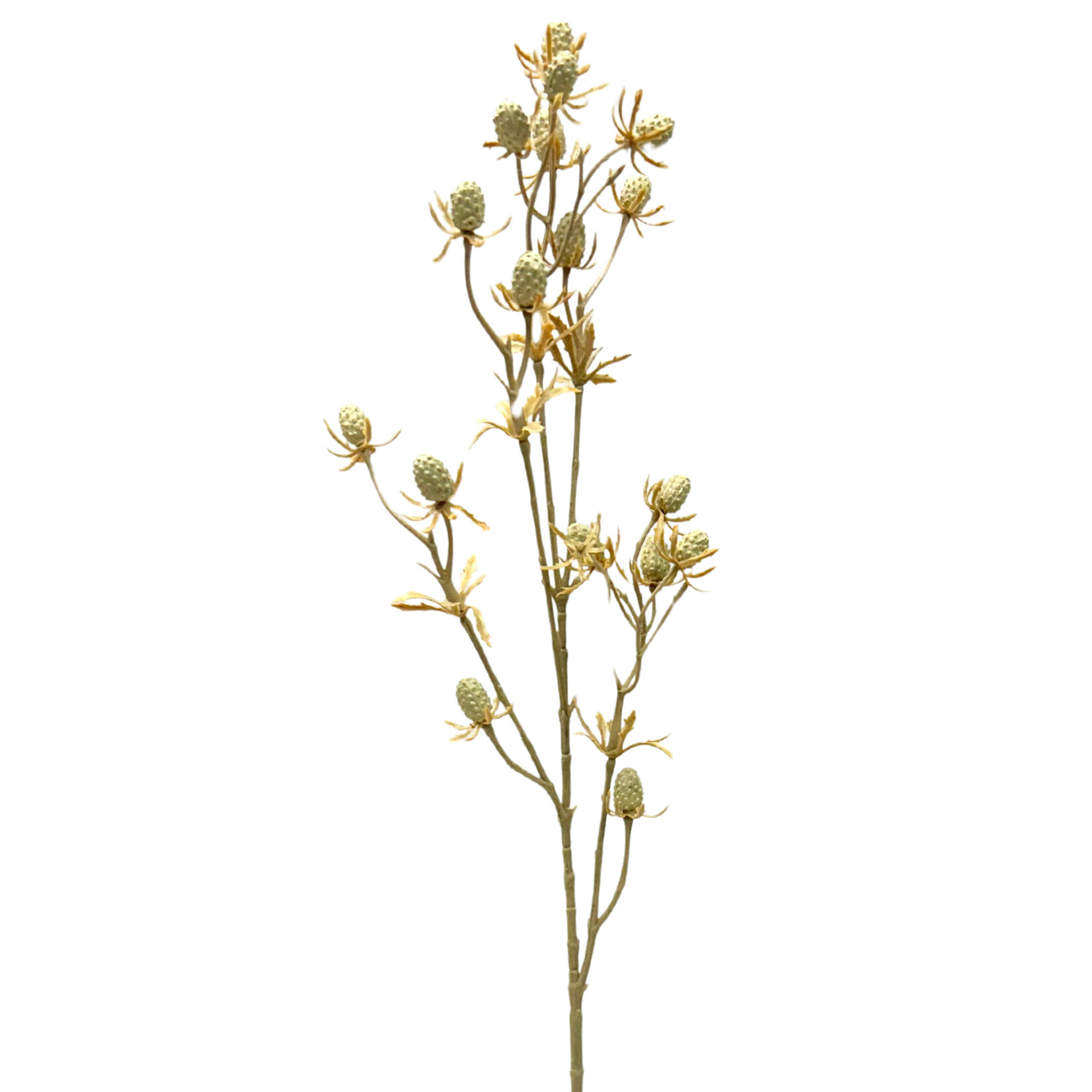24" ERYNGIUM SPRAY BEIGE