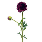 CSR727-WI: 18.9" RANUNCULUS SPRAY WINE