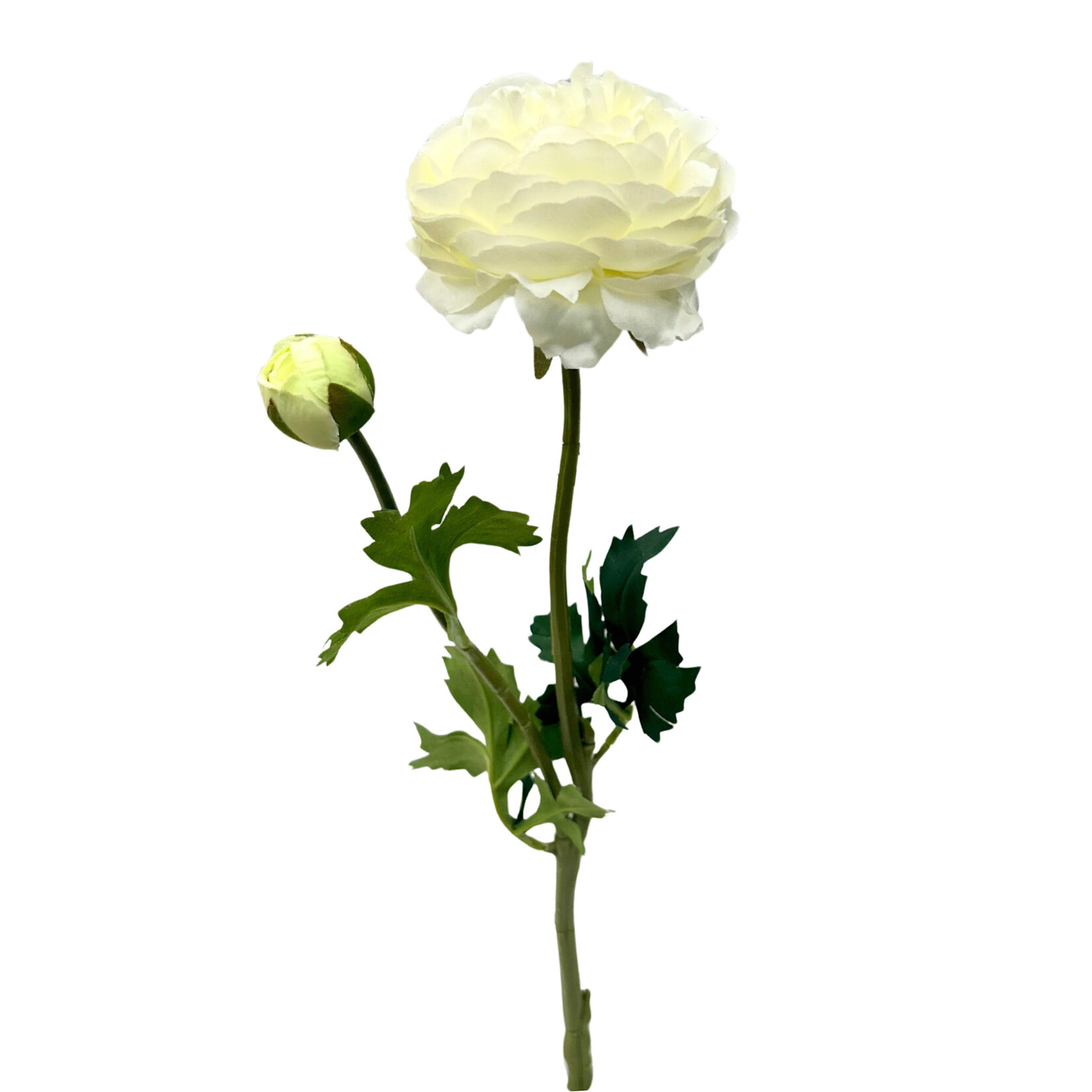 18.9" RANUNCULUS SPRAY WHITE