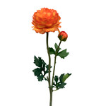 CSR727-OR: 18.9" RANUNCULUS SPRAY ORANGE
