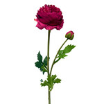 CSR727-BB: 18.9" RANUNCULUS SPRAY BOYSENBERRY