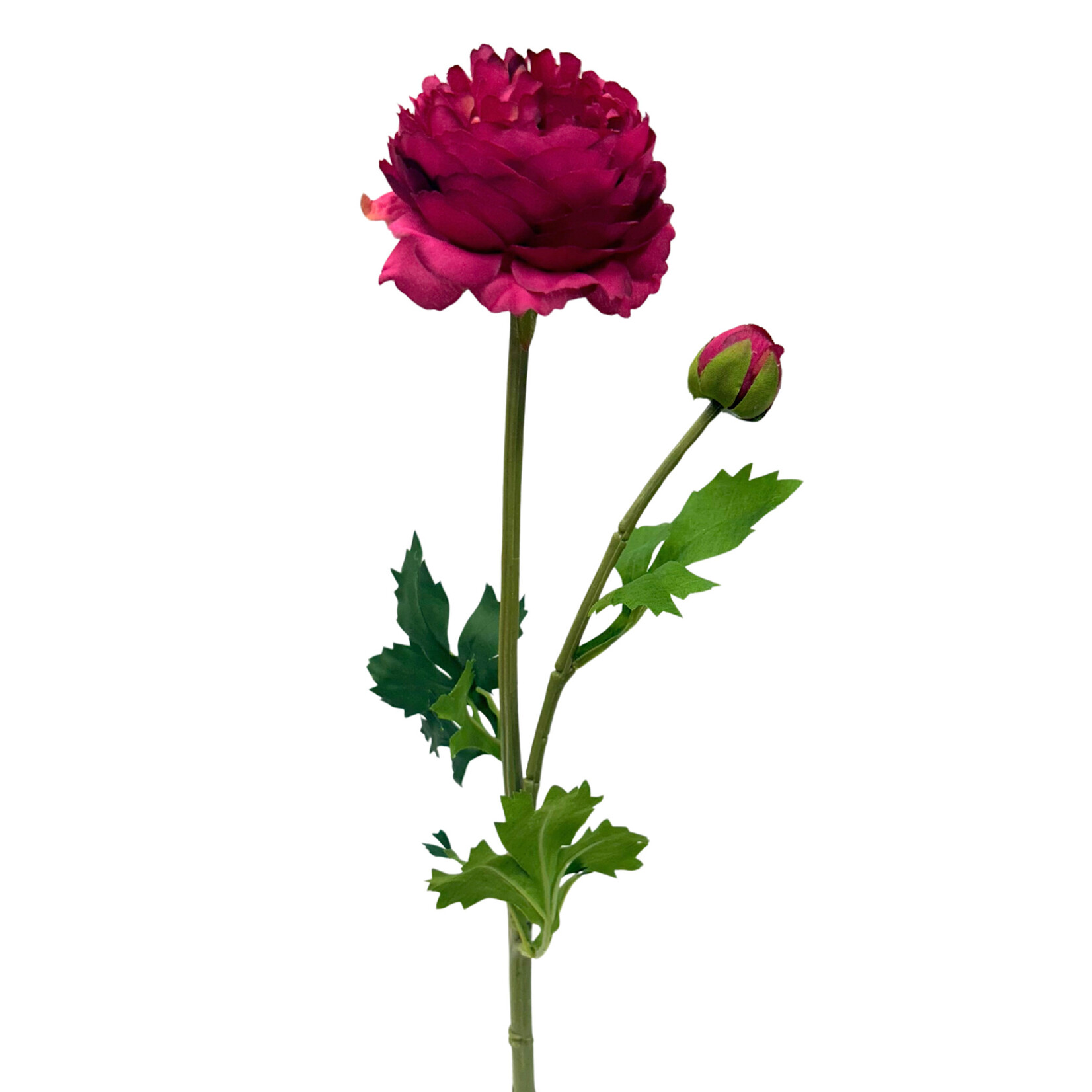 18.9" RANUNCULUS SPRAY BOYSENBERRY