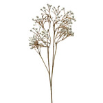 CSG012-CR: 23" DRY-LOOK GYPSOPHILA SPRAY CREAM