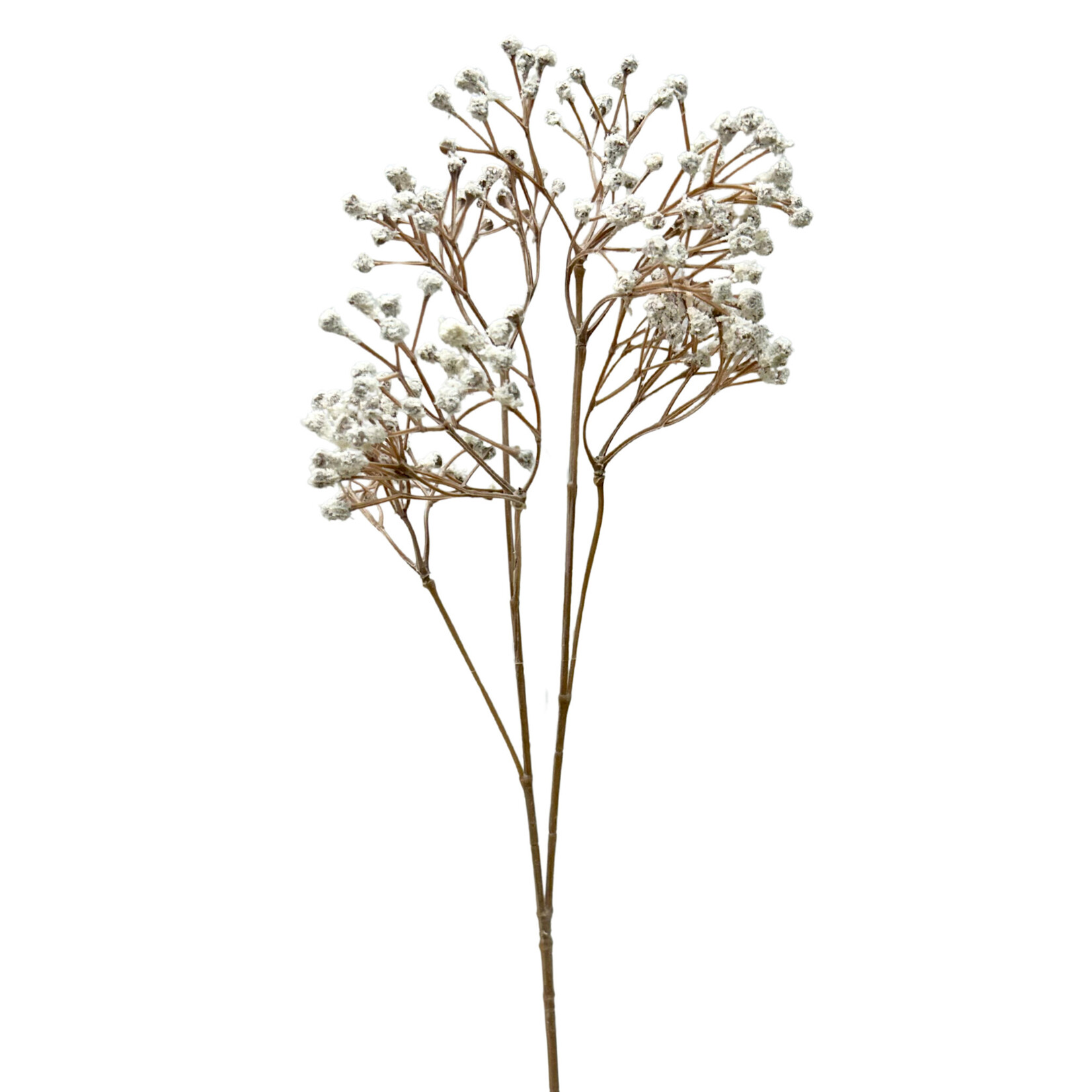 23" DRY-LOOK GYPSOPHILA SPRAY CREAM