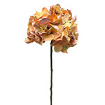 CSH909-HOAM: 30" HYDRANGEA SPRAY HONEY AMBER