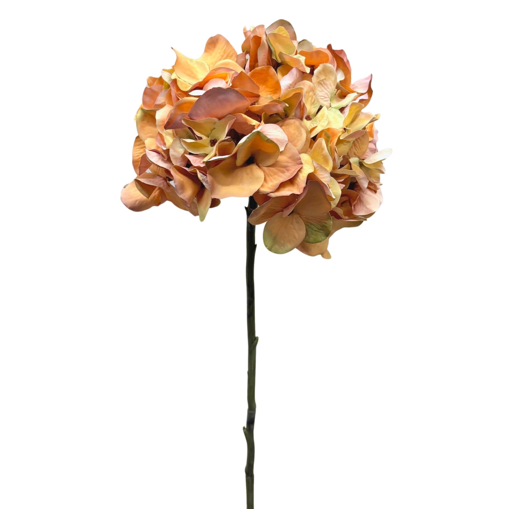 30" HYDRANGEA SPRAY HONEY AMBER