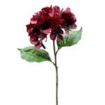 CSH071-BU: 26.5" HYDRANGEA SPRAY BURGUNDY