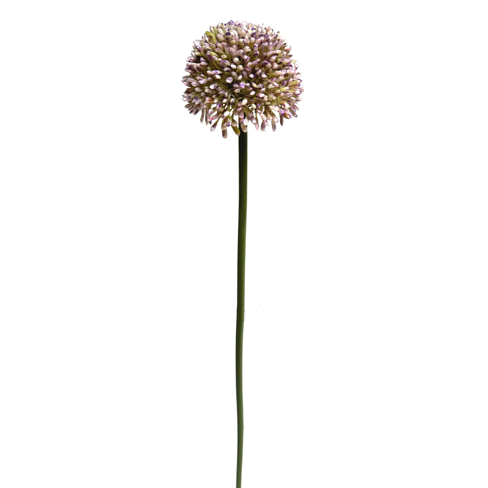 17.5" ALLIUM SPRAY LAVENDER