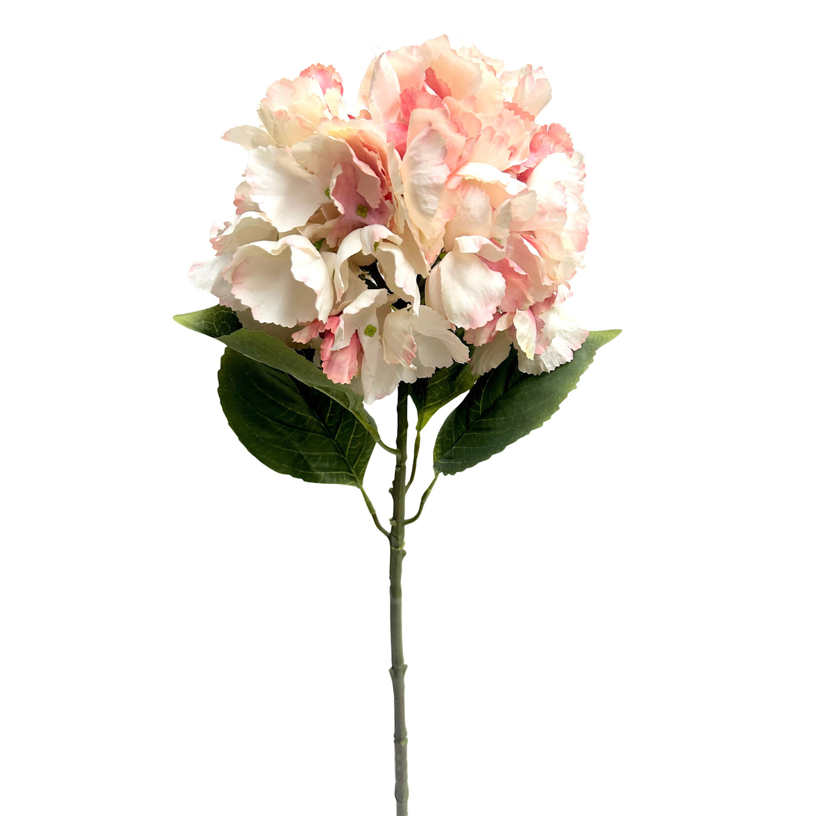 26" HYDRANGEA SPRAY ROSE CREAM
