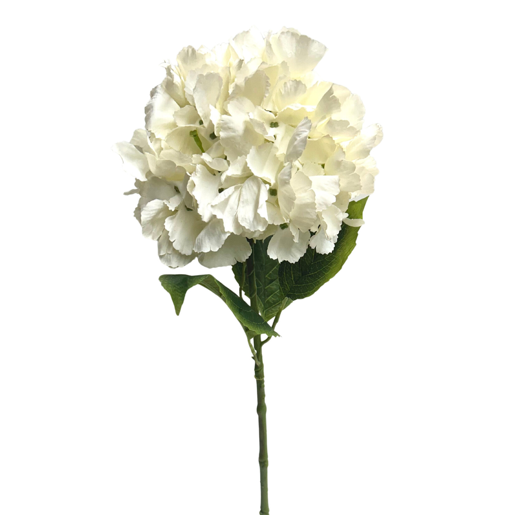 26" HYDRANGEA SPRAY IVORY