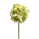 CSH934-GN/LT: 21” HYDRANGEA SPRAY LIGHT GREEN