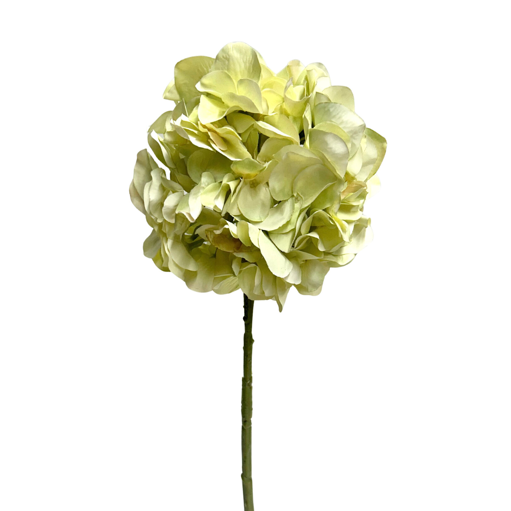 21" HYDRANGEA SPRAY LIGHT GREEN