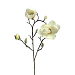 CSM244-CR: 21” JAPANESE MAGNOLIA SPRAY CREAM