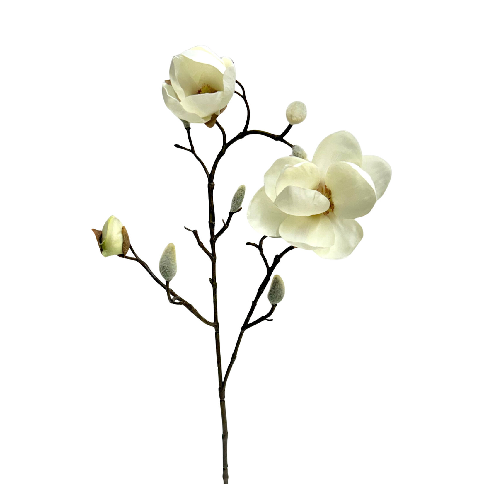 21" JAPANESE MAGNOLIA SPRAY CREAM