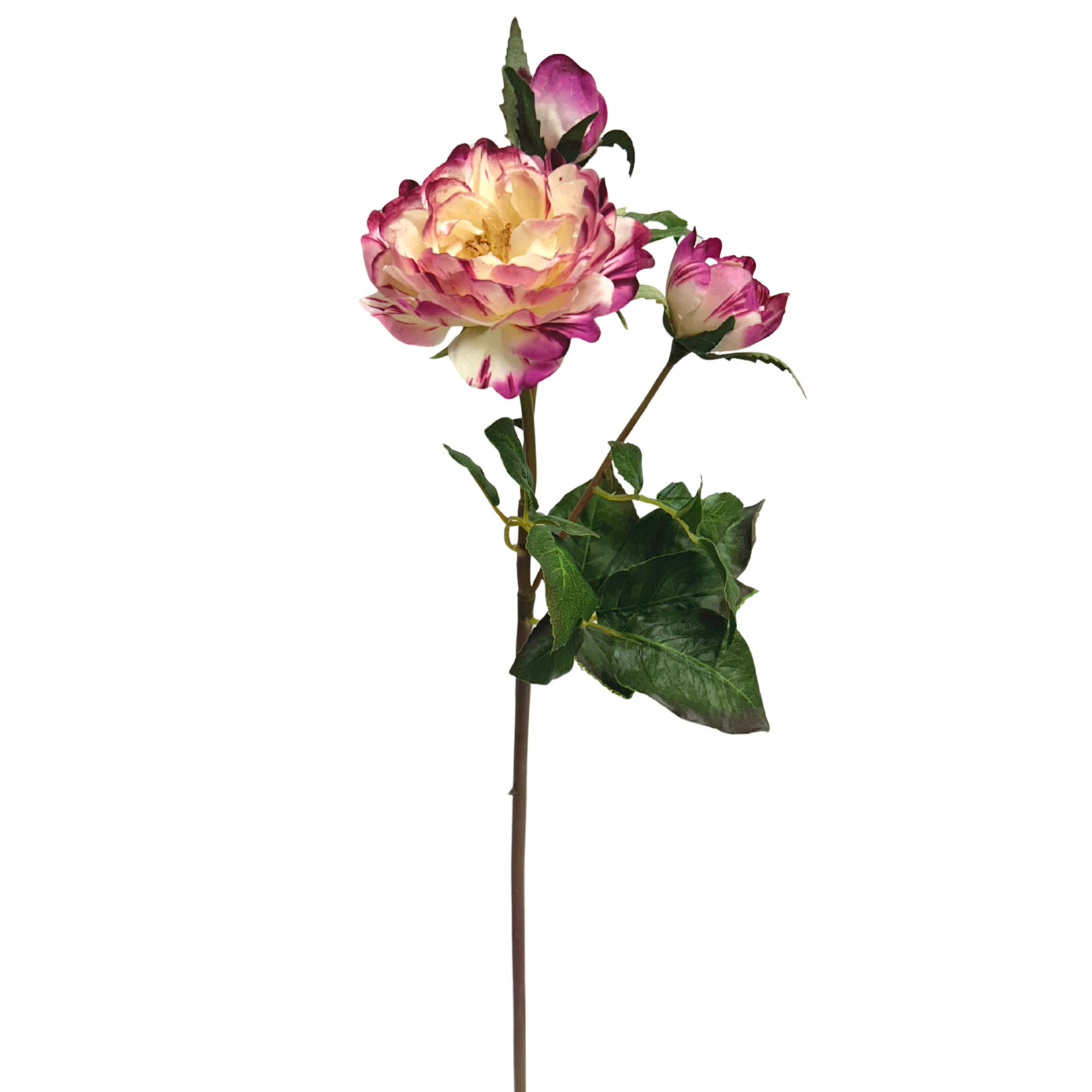 19" RUFFLE ROSE STEM PURPLE WHITE