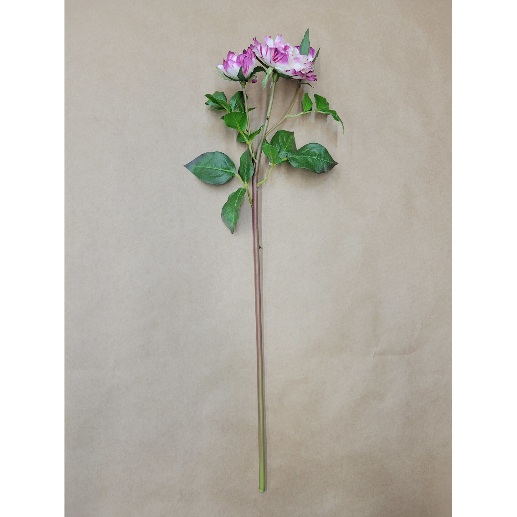 19" RUFFLE ROSE STEM PURPLE WHITE
