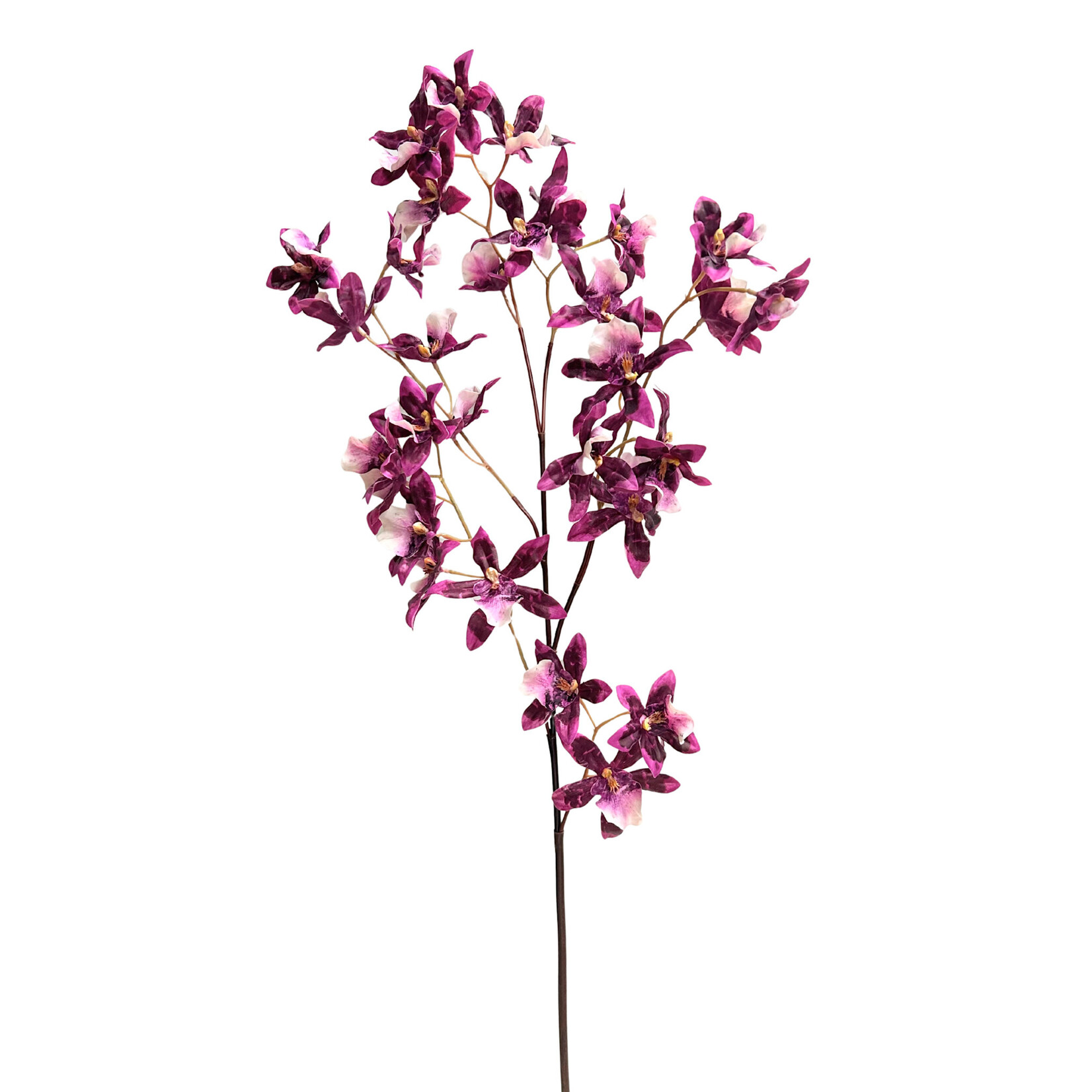 40" ORCHID DANCING ONCIDIUM PURPLE