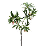 CGE093-GN/PK: 35” JAPANESE BLUEBERRY SPRAY GREEN PINK