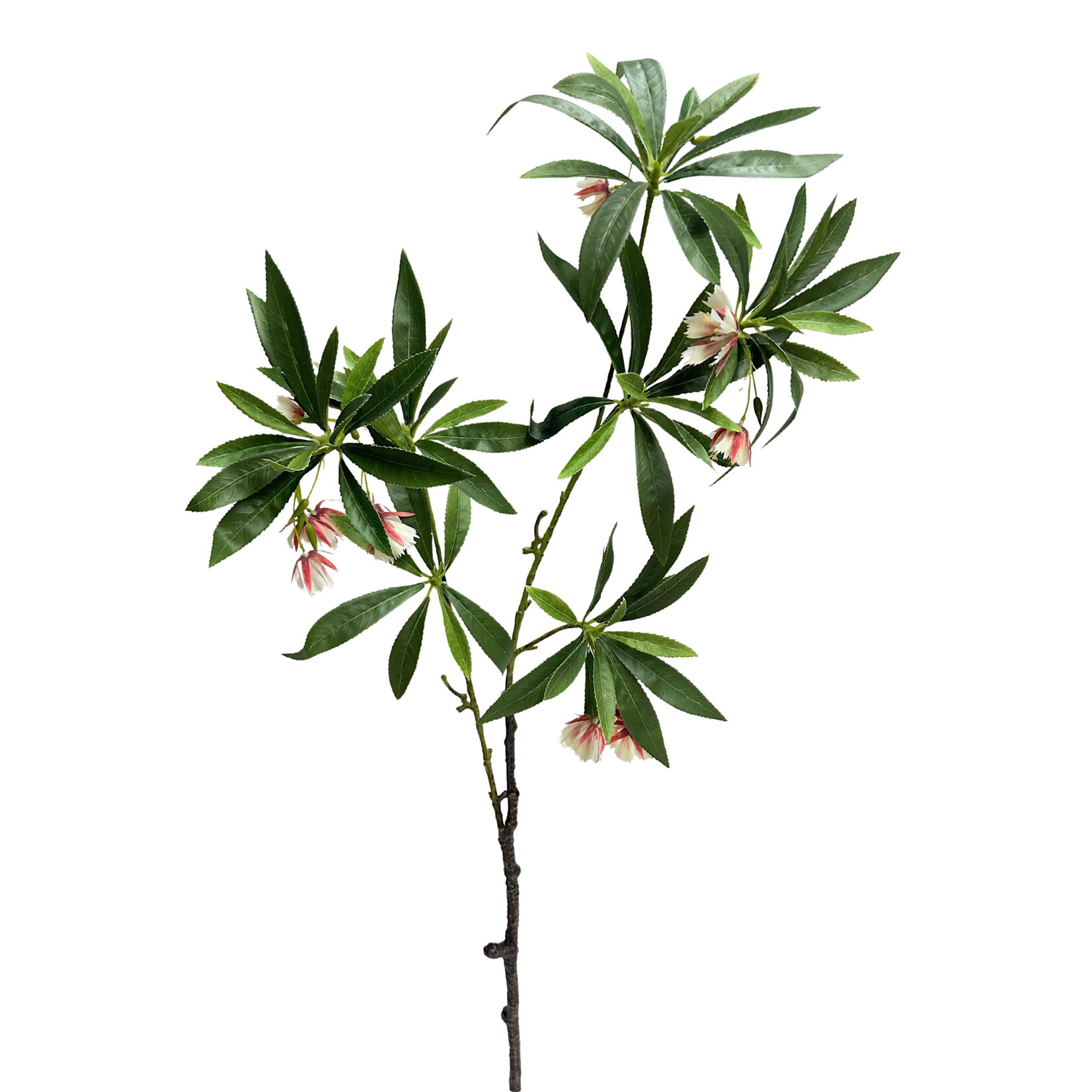 35" JAPANESE BLUEBERRY SPRAY GREEN PINK