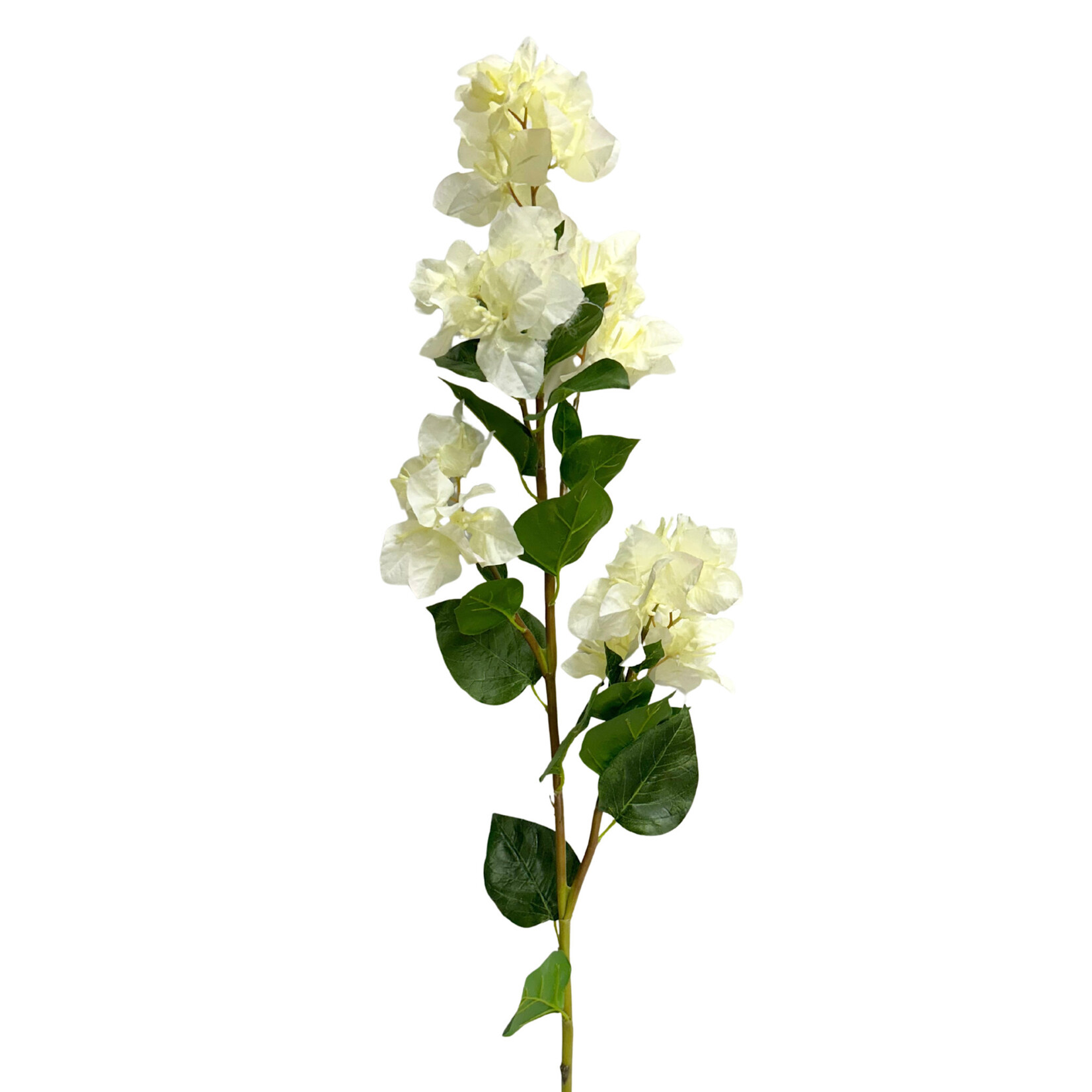37.5" BOUGAINVILLEA WHITE