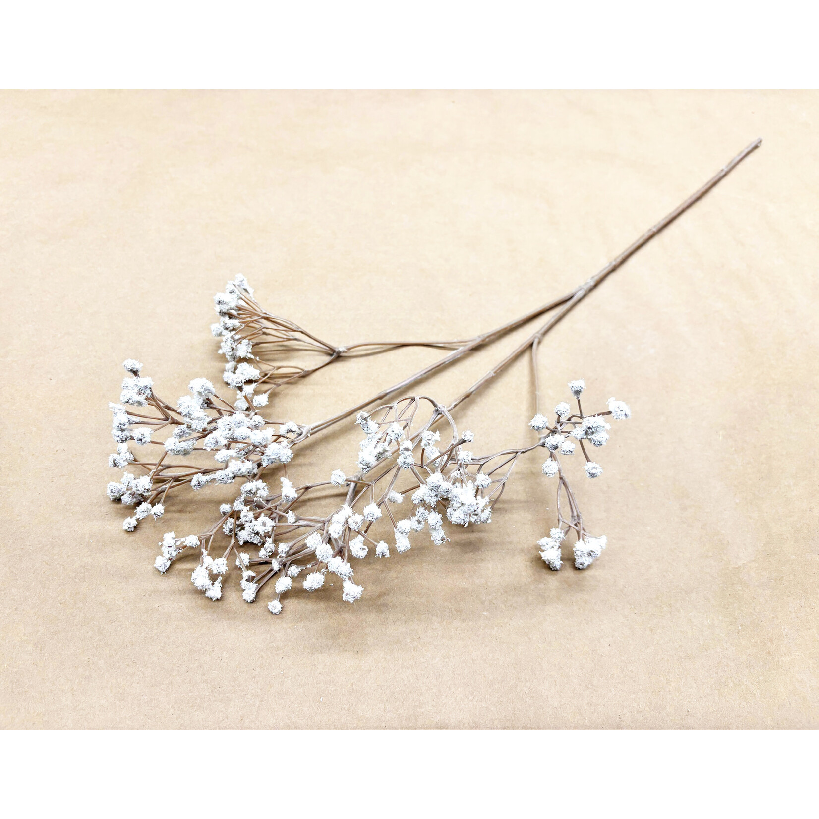 23" DRY-LOOK GYPSOPHILA SPRAY CREAM