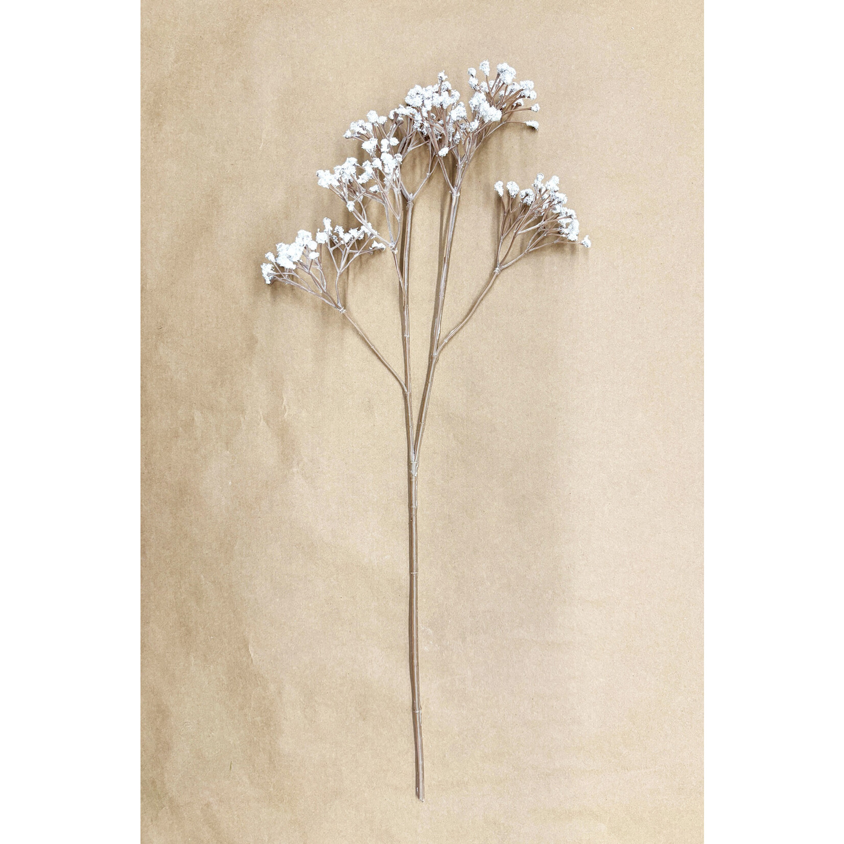 23" DRY-LOOK GYPSOPHILA SPRAY CREAM