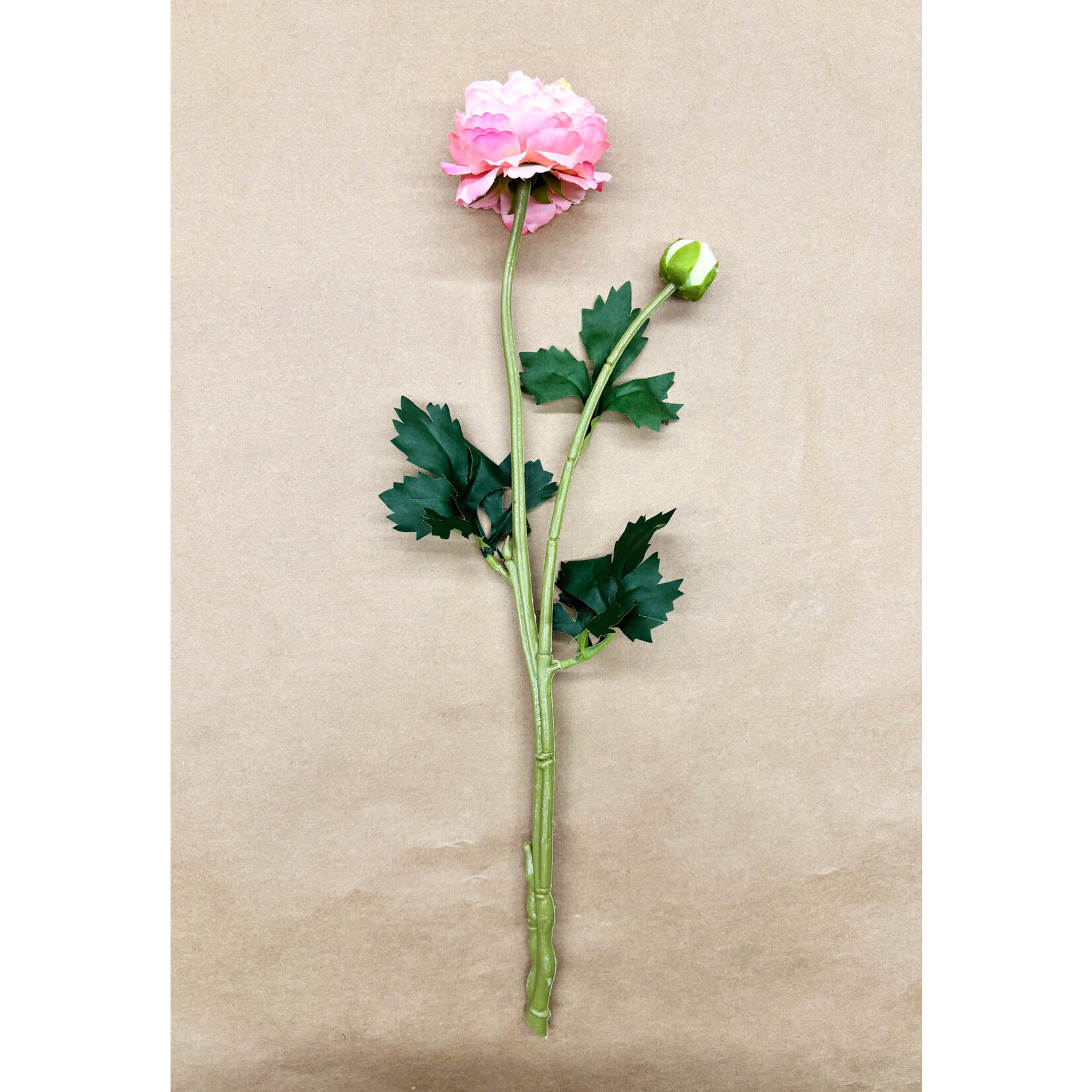 18.9" RANUNCULUS SPRAY PINK CREAM
