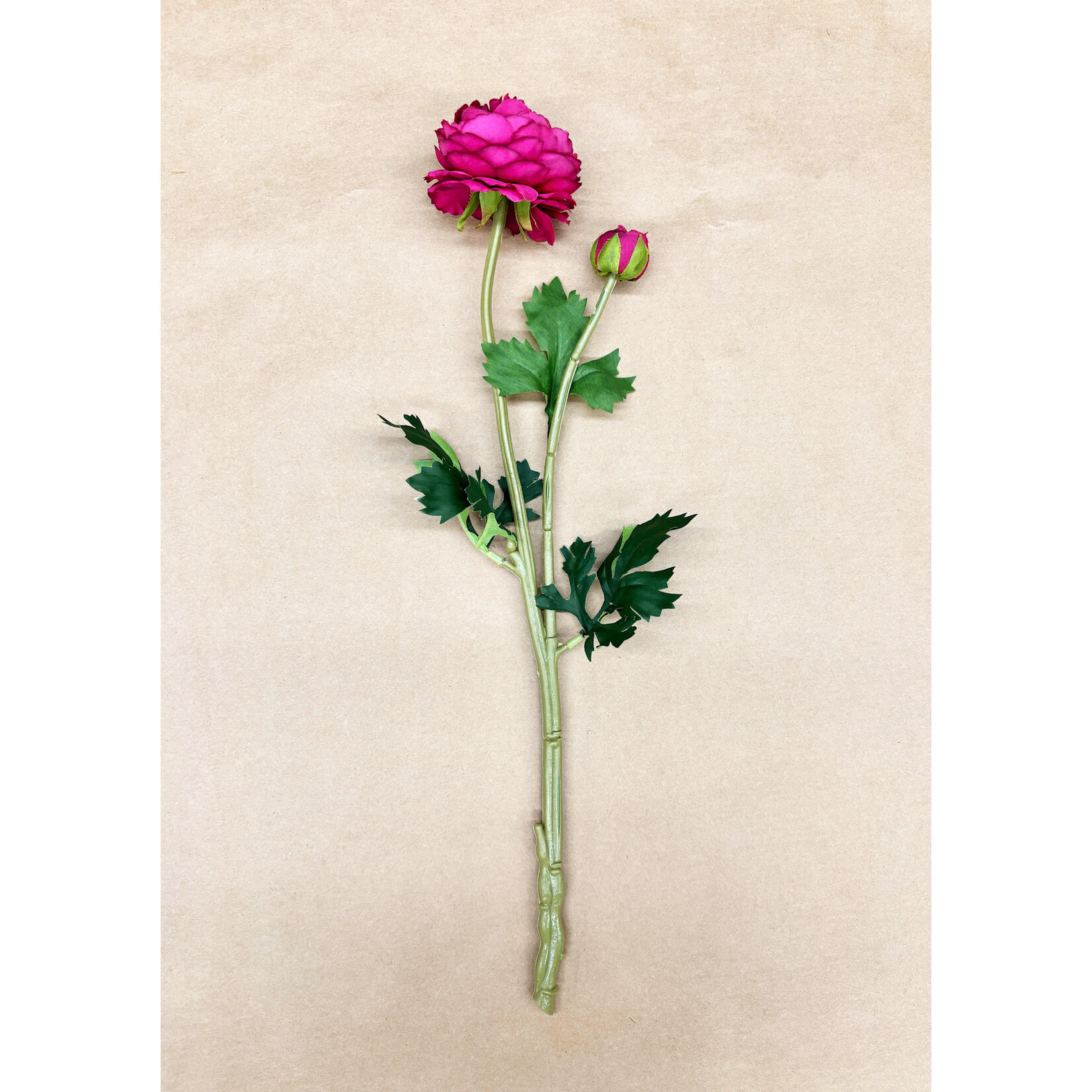 18.9" RANUNCULUS SPRAY BOYSENBERRY
