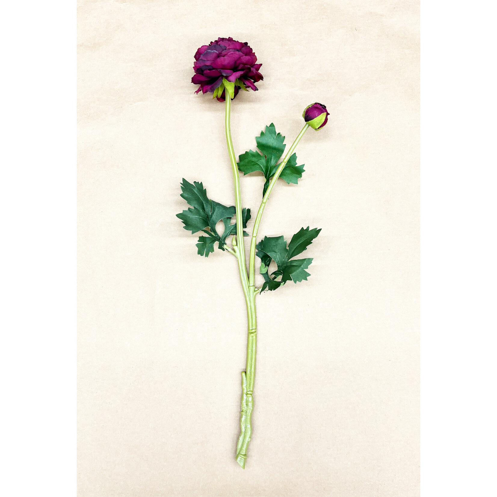 18.9" RANUNCULUS SPRAY WINE