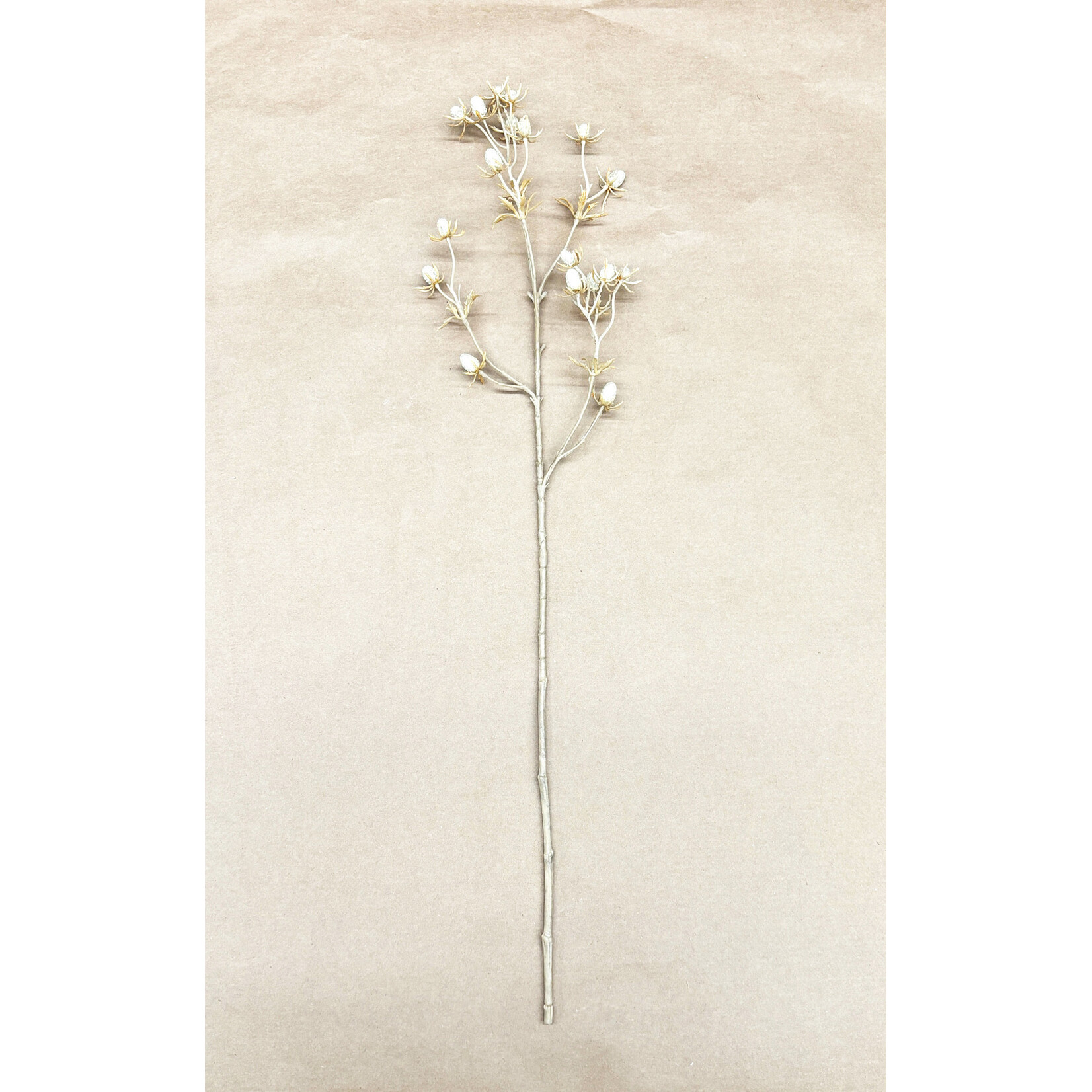 24" ERYNGIUM SPRAY BEIGE