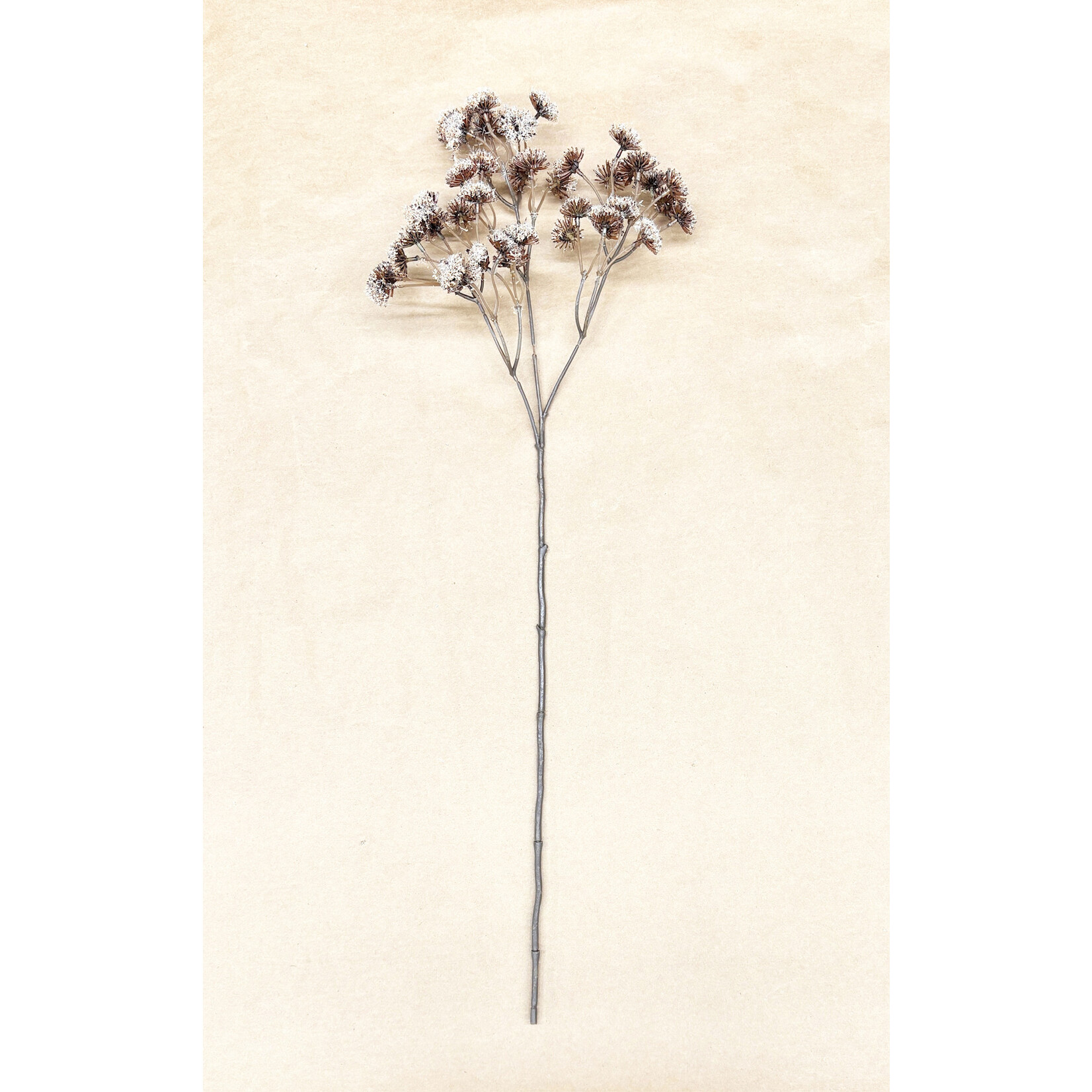 23.5" WILD BABY'S BREATH SPRAY BEIGE