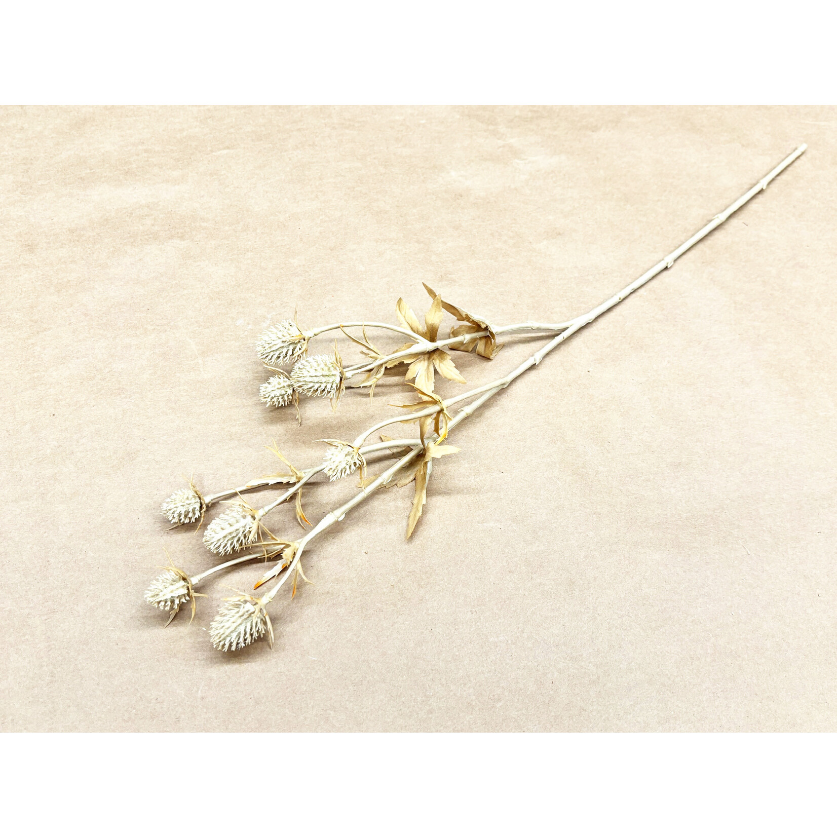 20" ERYNGIUM SPRAY BEIGE