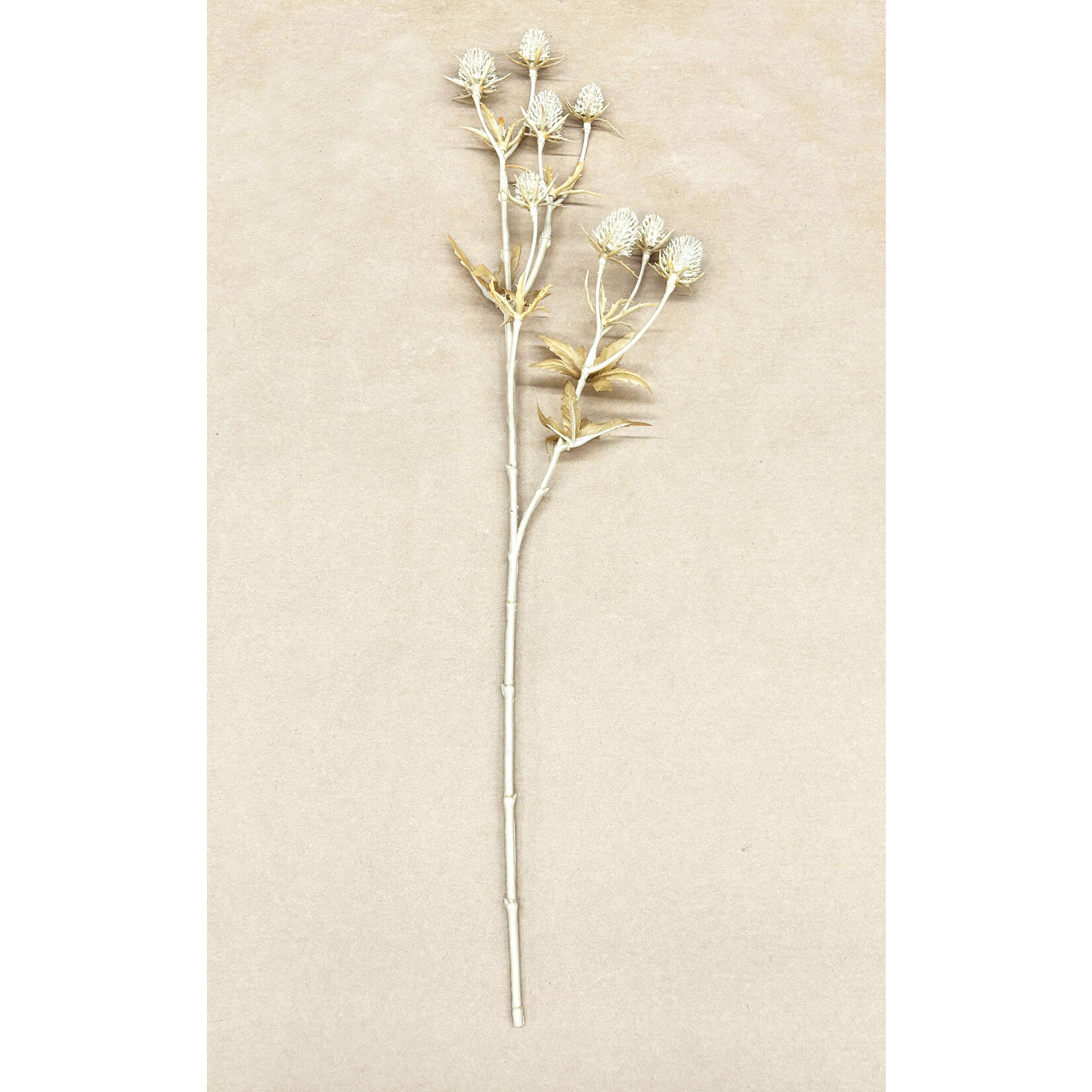 20" ERYNGIUM SPRAY BEIGE