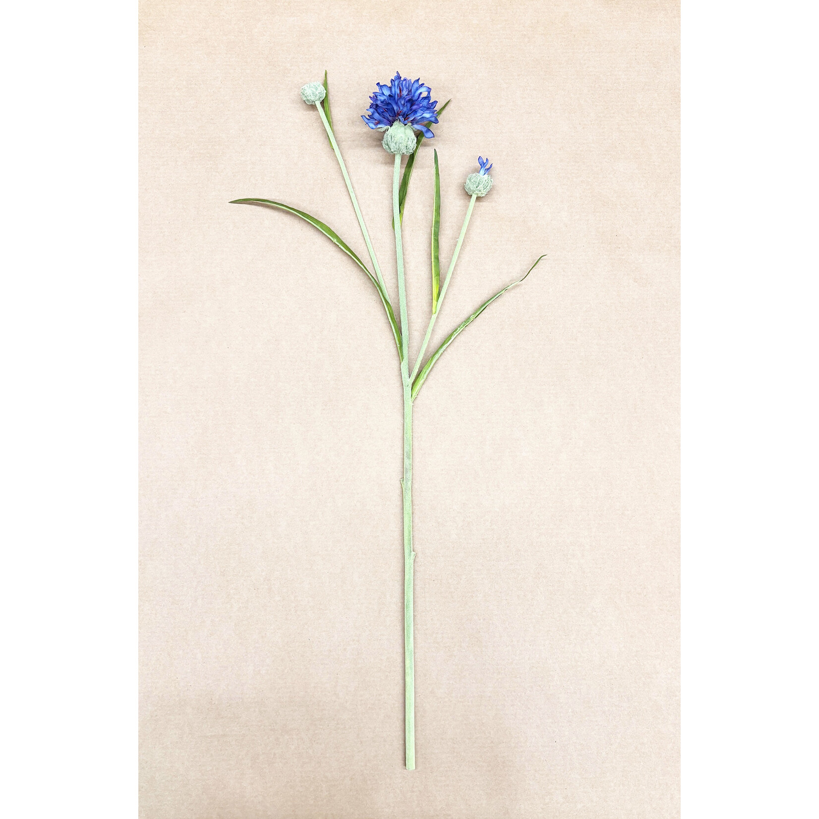 26" CORNFLOWER SPRAY DARK BLUE