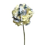 CSH934-LV/CR: 21” HYDRANGEA SPRAY LAVENDER CREAM