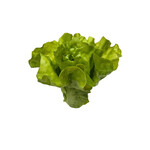 CFV302-GN: 6” LETTUCE GREEN