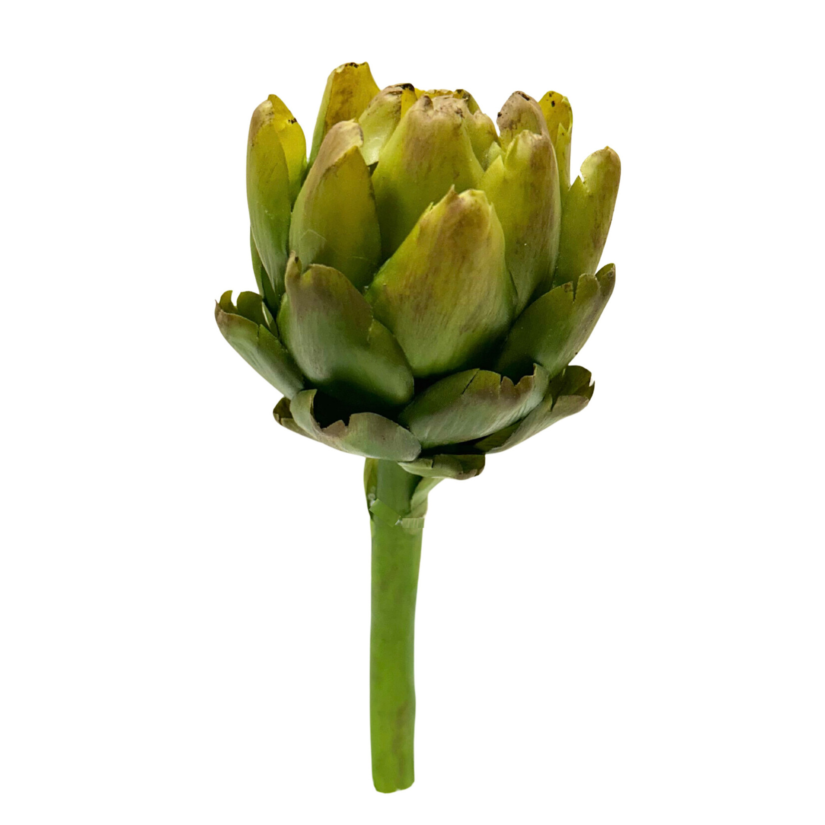 9.5"H x 3.25"W ARTICHOKE GREEN
