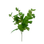 CFV187-GN: 15.5” BASIL SPRAY GREEN