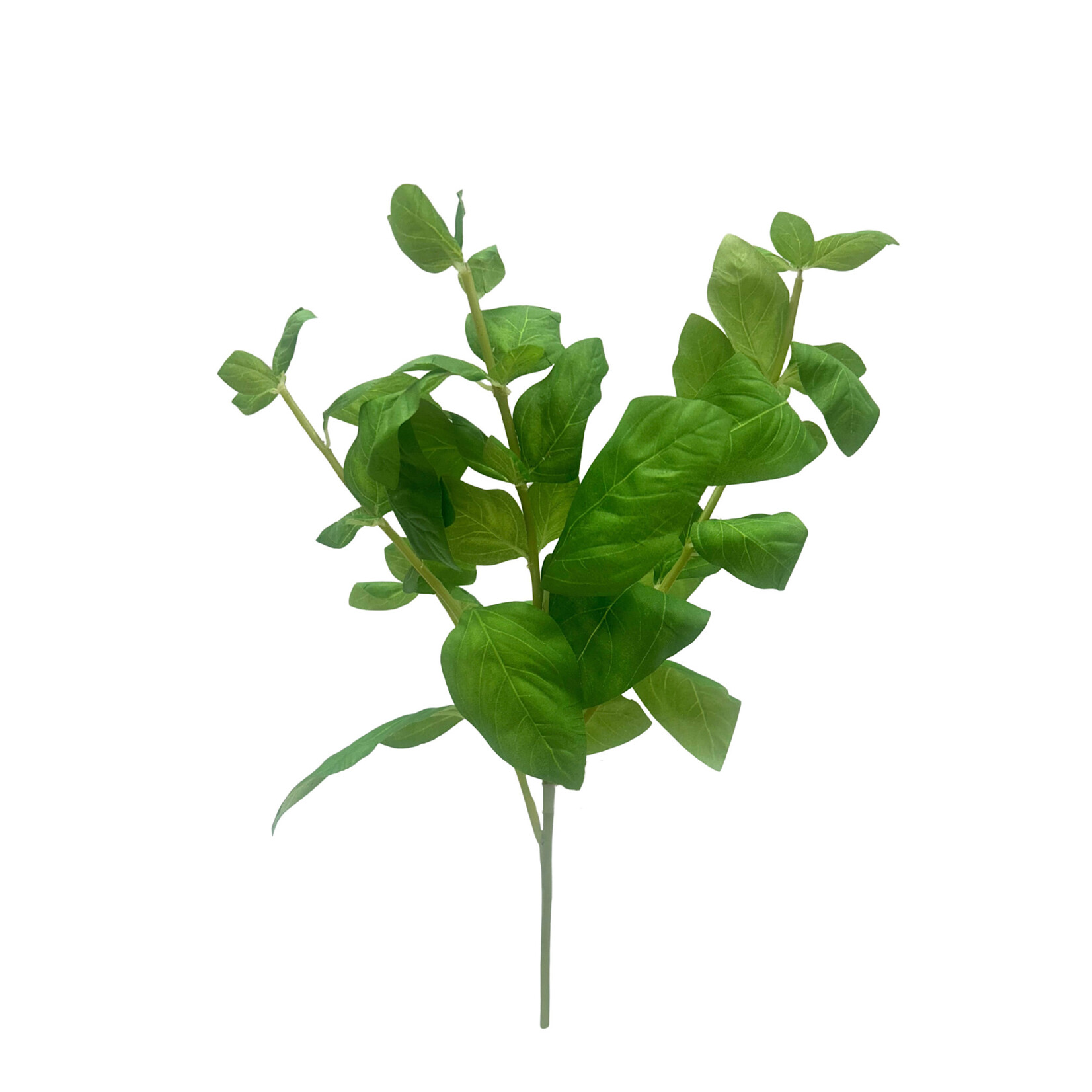 15.5" BASIL SPRAY GREEN