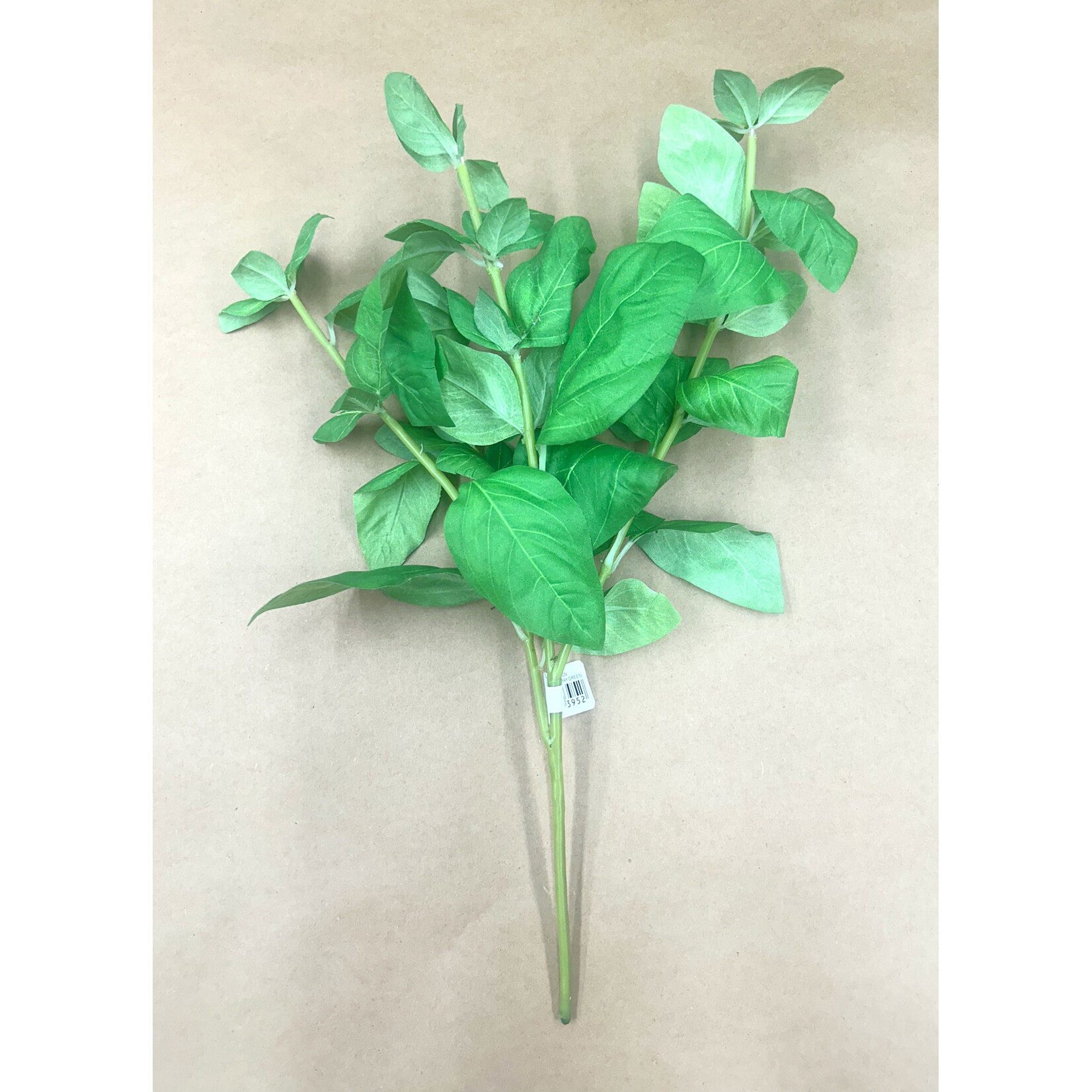 15.5" BASIL SPRAY GREEN