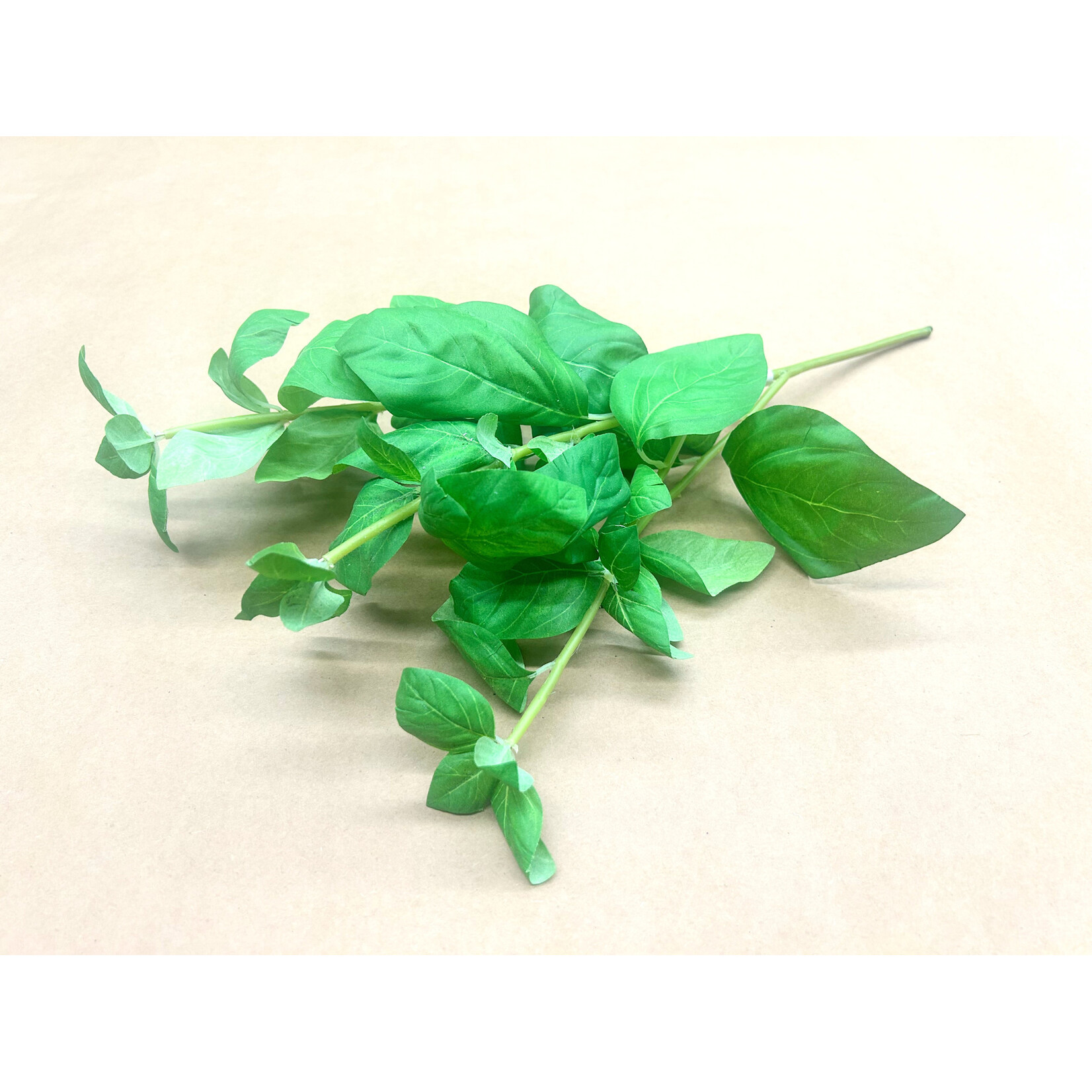 15.5" BASIL SPRAY GREEN